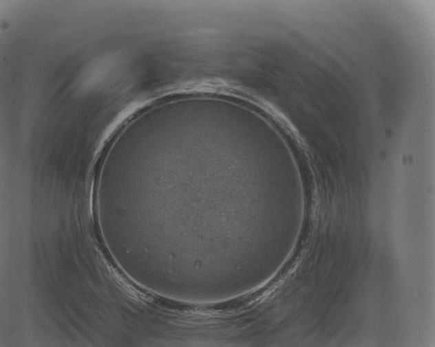 X0000085251224200703091249