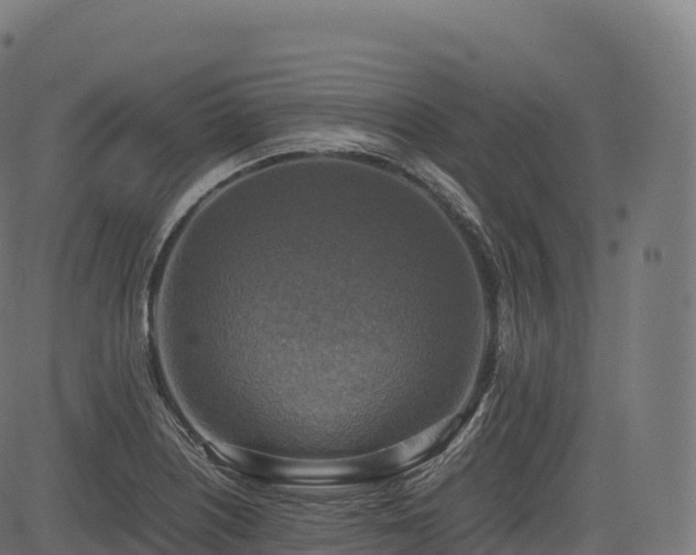 X0000085251226200703091249