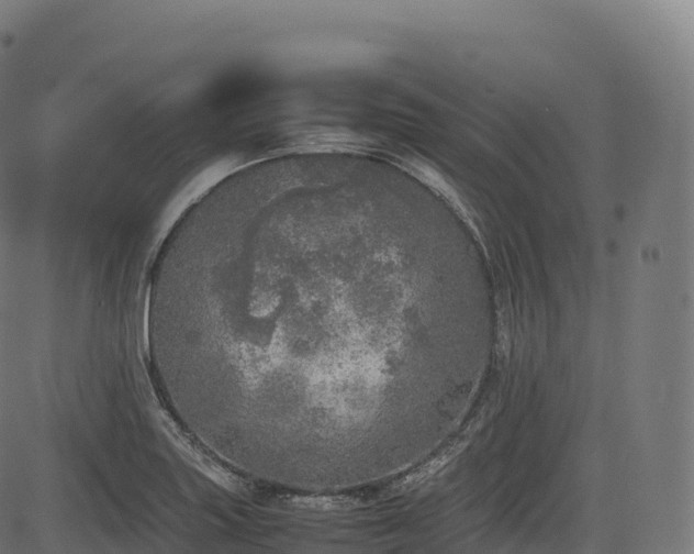 X0000085251227200703091249