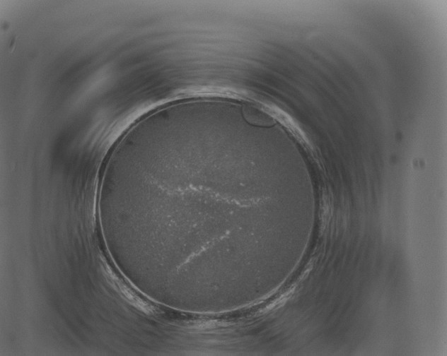 X0000085251228200703091249