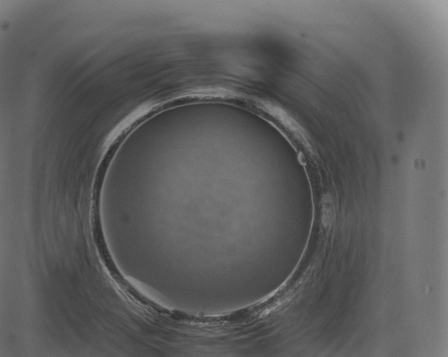 X0000085251229200703091249