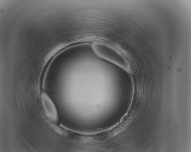 X0000085251230200703091249