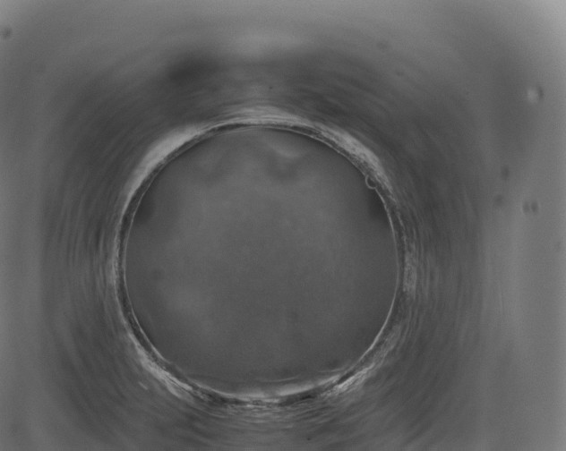 X0000085251231200703091249