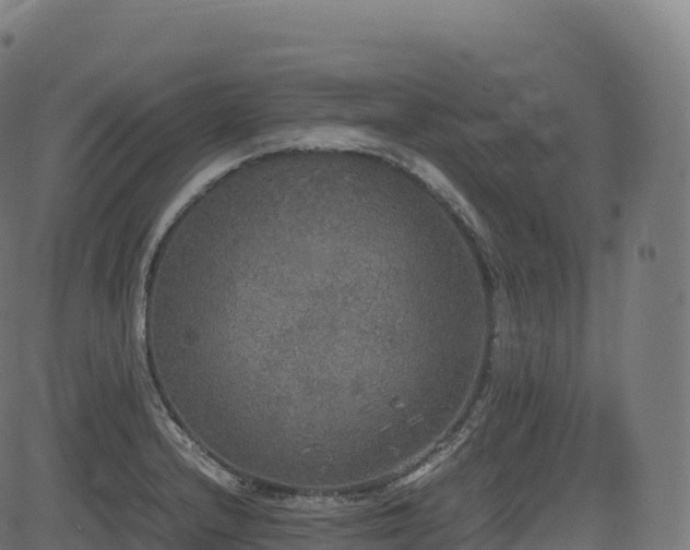 X0000085251232200703091250