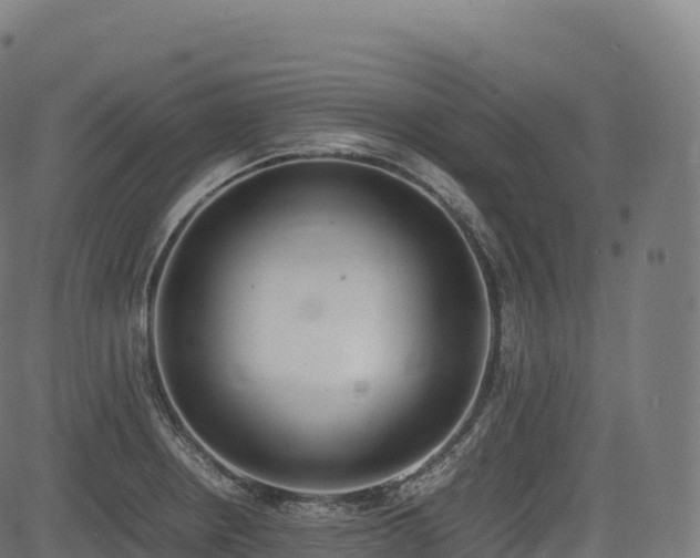 X0000085251234200703091250