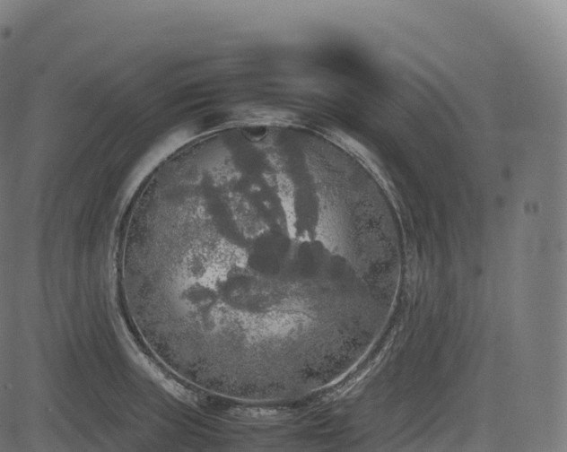 X0000085251235200703091250