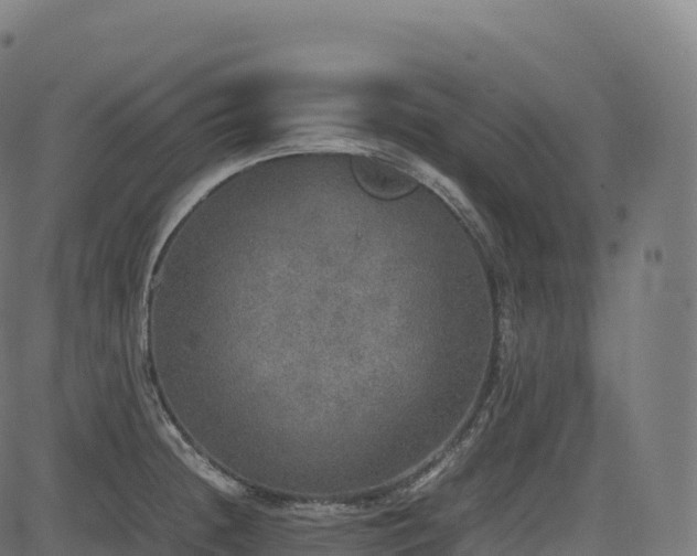 X0000085251236200703091250