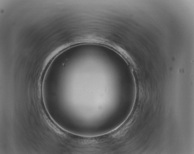 X0000085251238200703091250