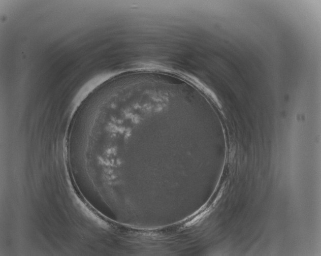 X0000085251239200703091250