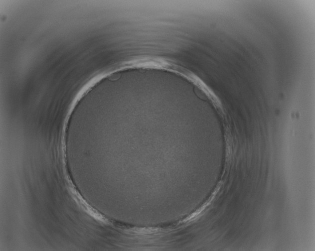 X0000085251240200703091250