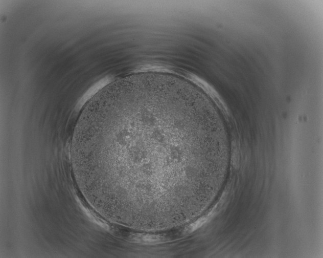 X0000085251241200703091250