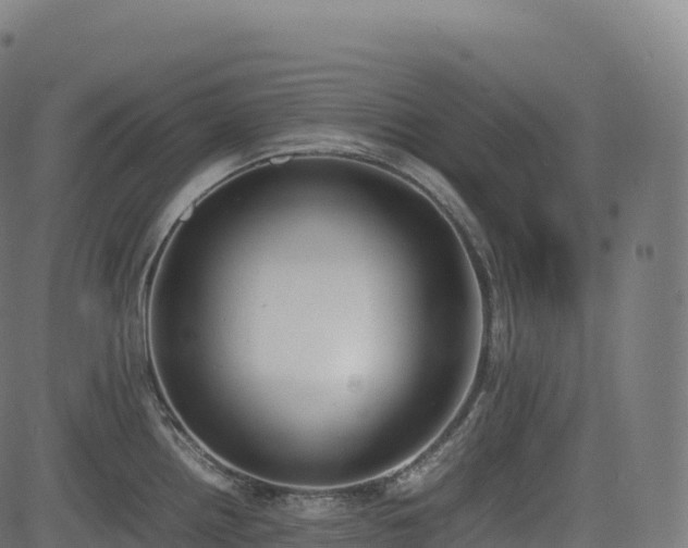 X0000085251242200703091250