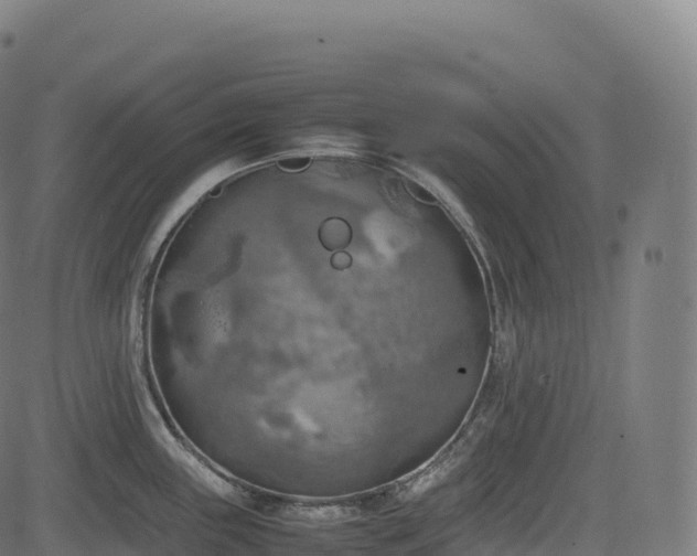 X0000085251243200703091250