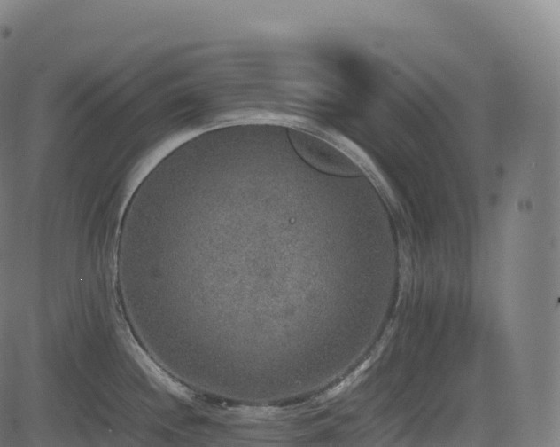 X0000085251244200703091250