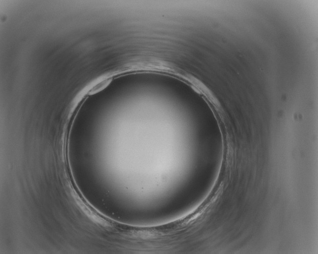 X0000085251246200703091250