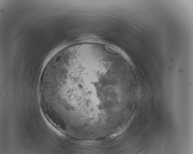 X0000085251247200703091250