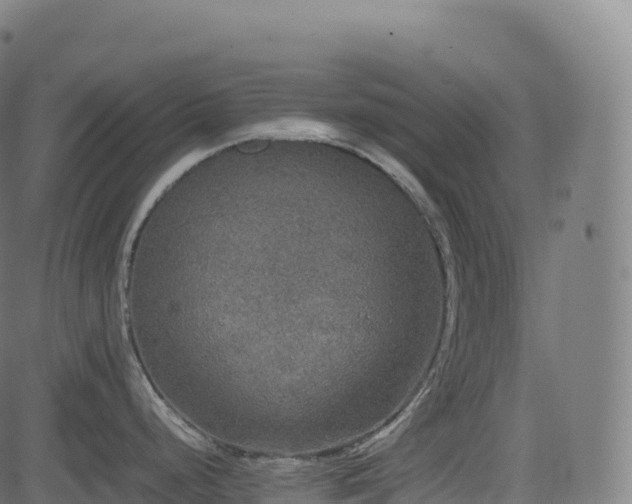 X0000085251248200703091250