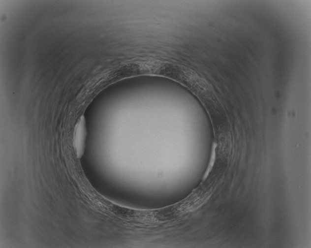 X0000085251249200703091249