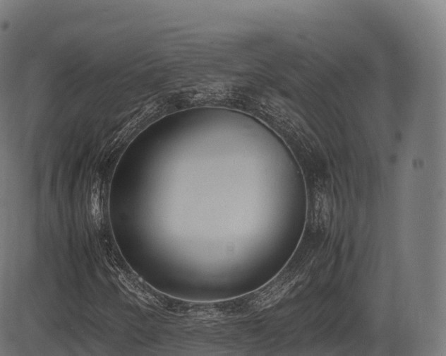 X0000085251250200703091249