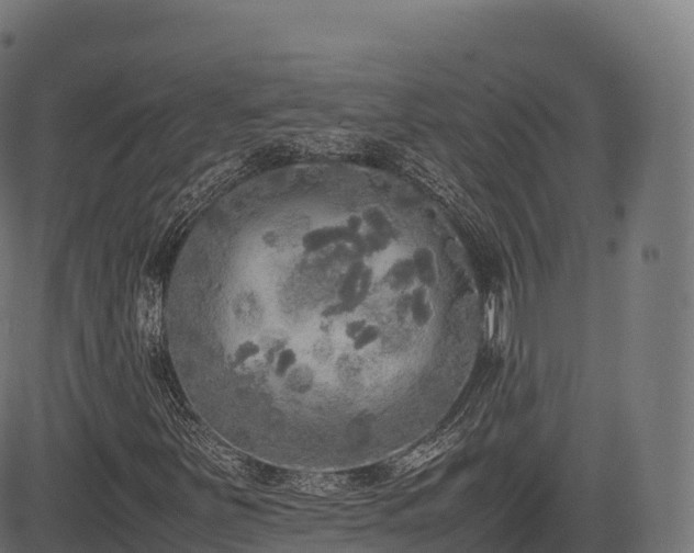 X0000085251251200703091249