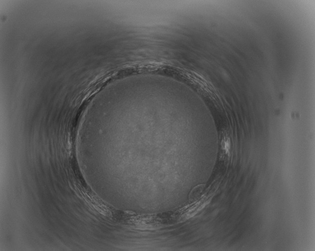 X0000085251252200703091249