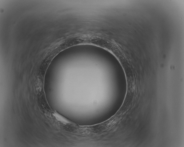 X0000085251253200703091249