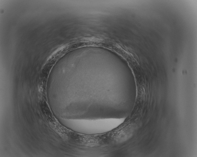 X0000085251254200703091249