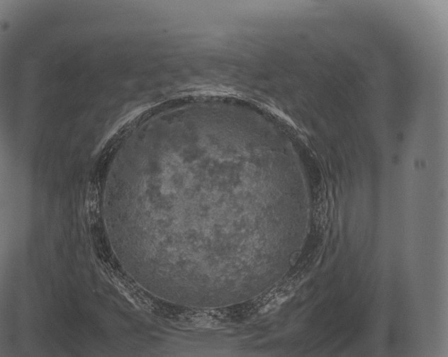 X0000085251255200703091249