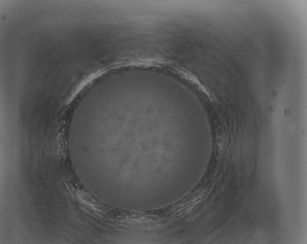 X0000085251256200703091249