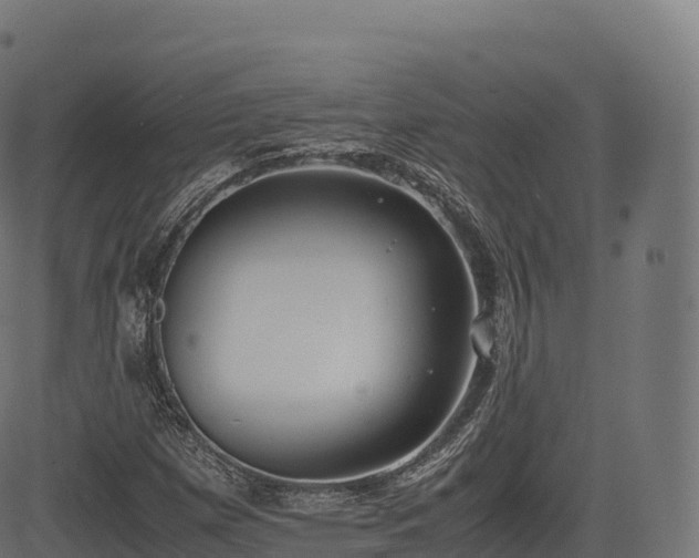 X0000085251257200703091249