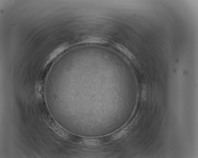 X0000085251258200703091249