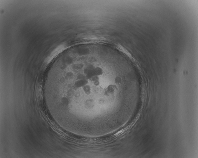 X0000085251259200703091249