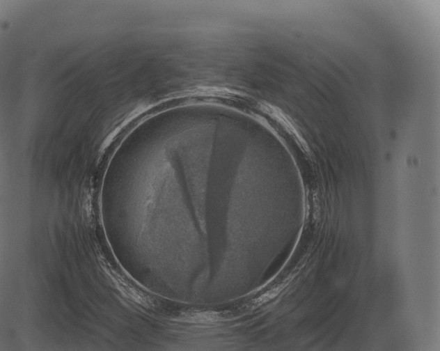 X0000085251260200703091249