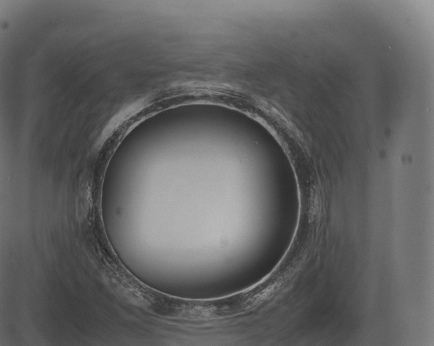 X0000085251261200703091249