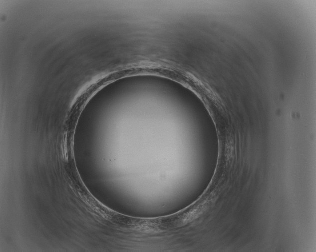 X0000085251262200703091249