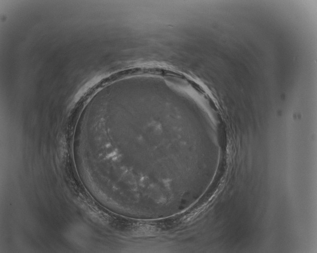 X0000085251263200703091249