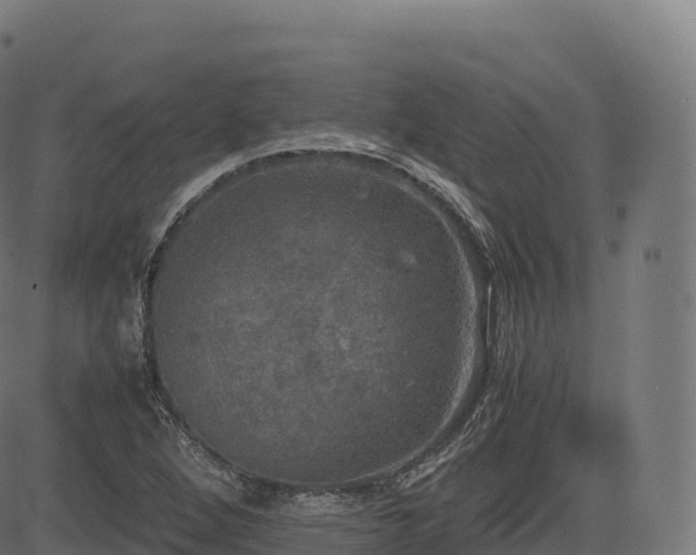 X0000085251264200703091249