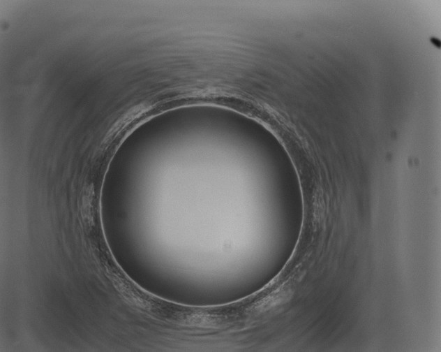 X0000085251265200703091249