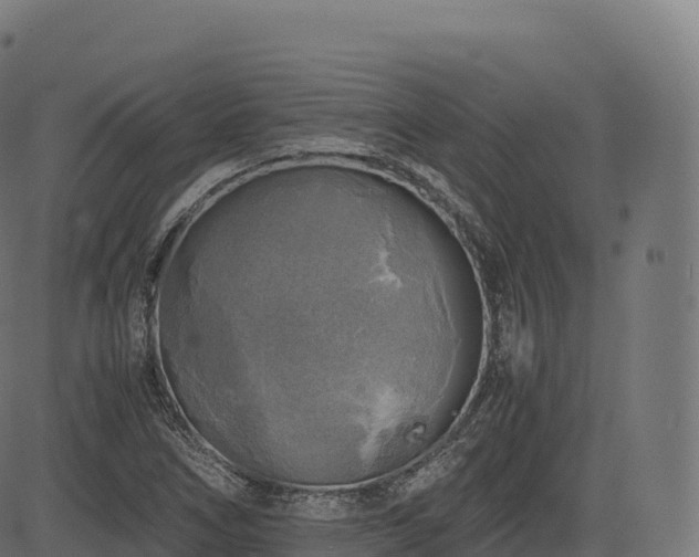 X0000085251266200703091249