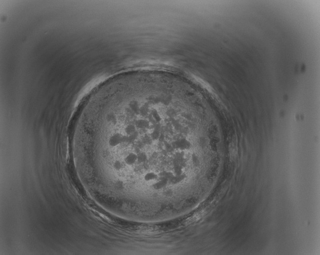 X0000085251267200703091249