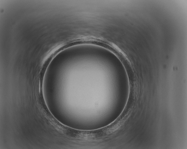 X0000085251269200703091249