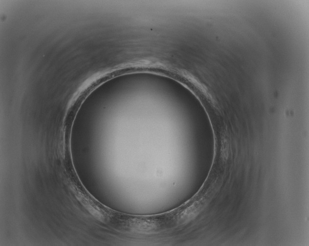 X0000085251270200703091249