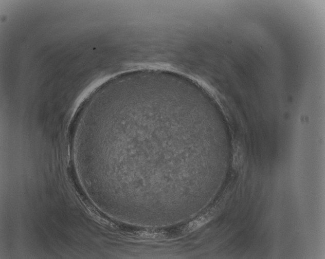 X0000085251271200703091249