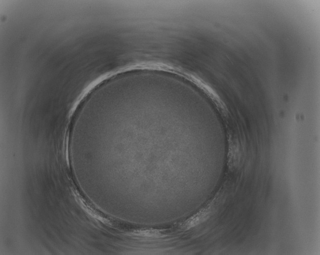 X0000085251272200703091249