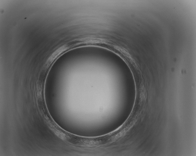 X0000085251273200703091249