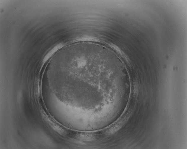 X0000085251274200703091249