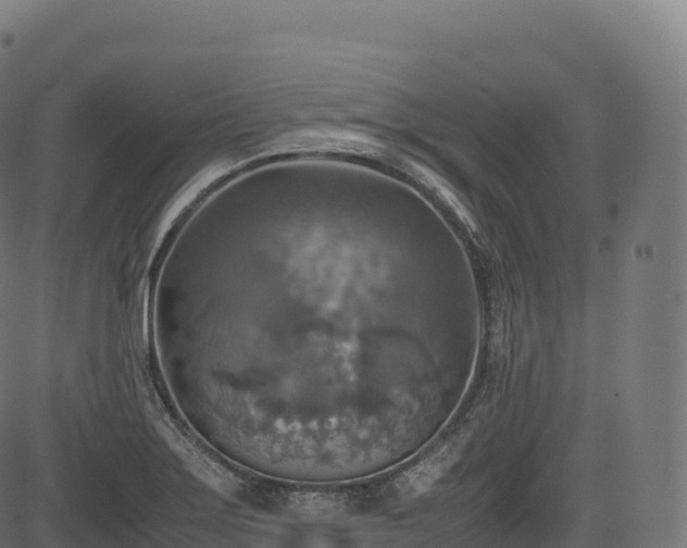 X0000085251275200703091249