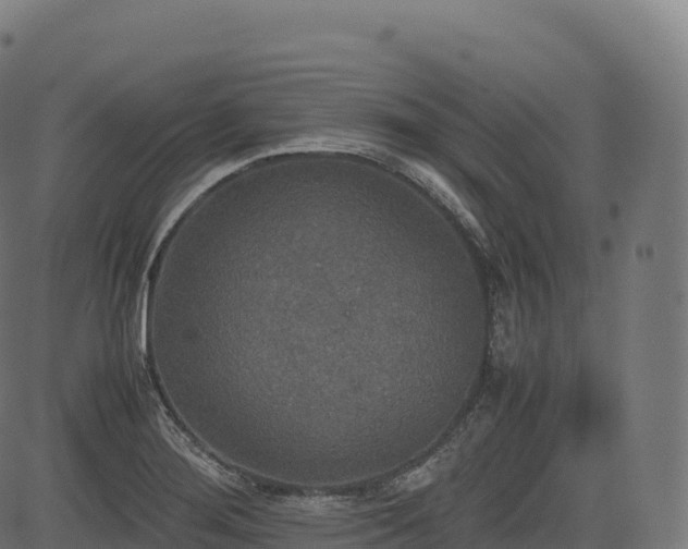 X0000085251276200703091249