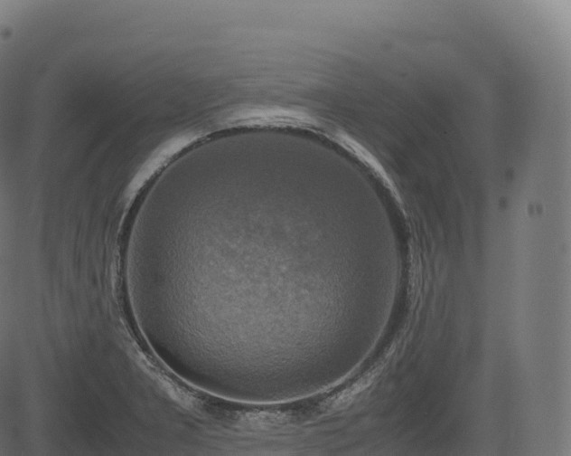 X0000085251277200703091249