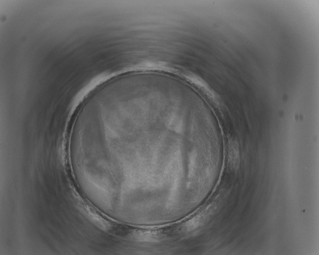 X0000085251278200703091248